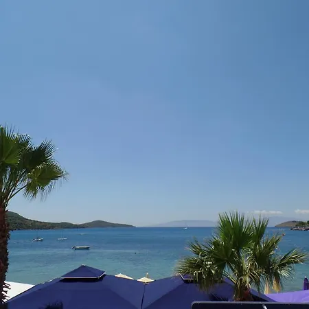 Διαμέρισμα Almera Beachfront Apartmant *